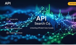 best API search company's homepage